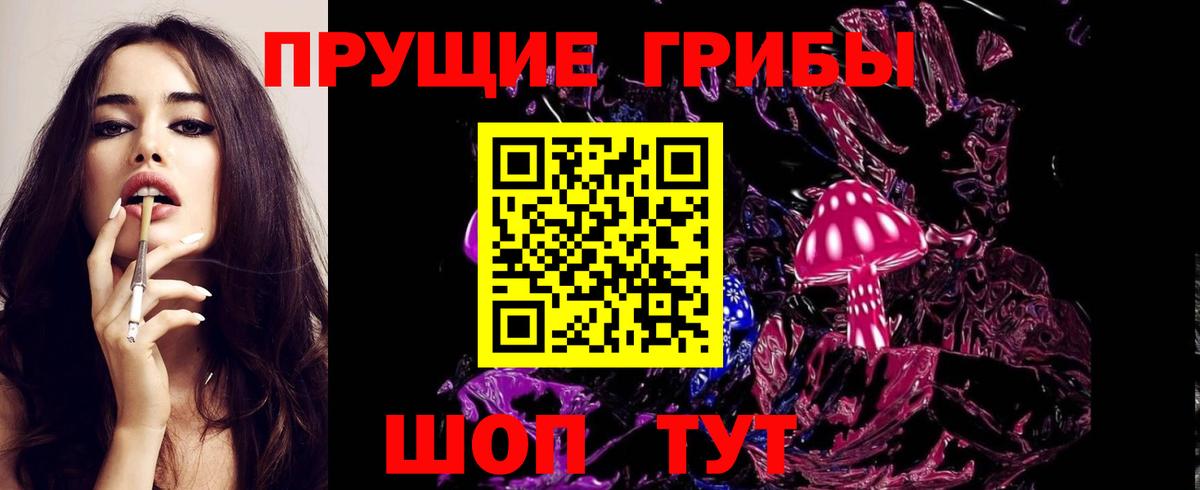 наркошоп  Вход с VPN  Качканар  Псилоцибиновые грибы Psilocybine cubensis 