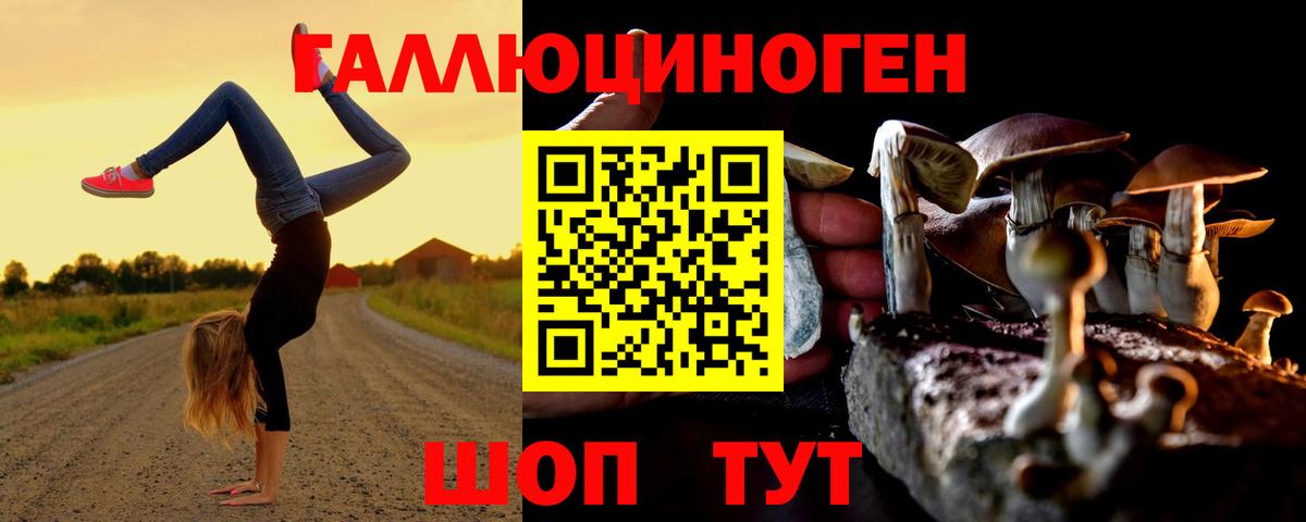 Псилоцибиновые грибы Cubensis Качканар